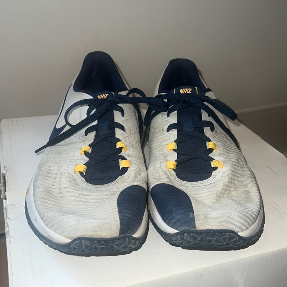 Men’s Nike Training Flex Control 4 Sneakers (10.5)